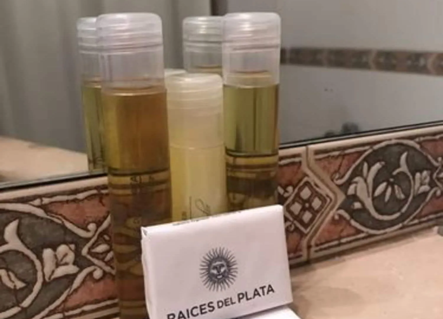 Hotel Raices Aconcagua Mendoza Arjantin